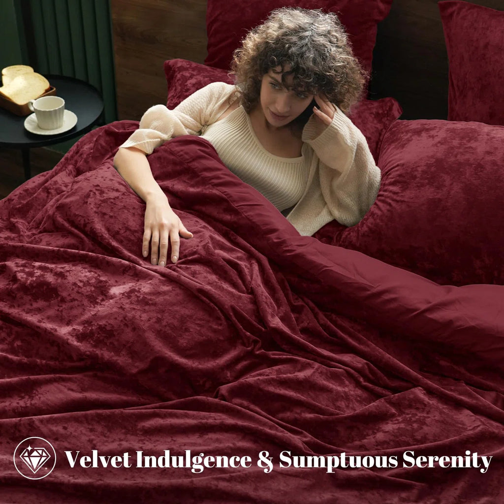 Double-Sided Velvet Comforter Set, 5 Piece Soft Luxury Winter Warm Bedding Sets, Modern Bed in A Bag